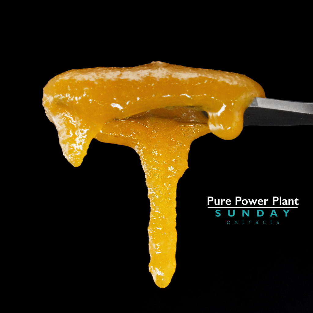 Pure Power Plant Concentrate