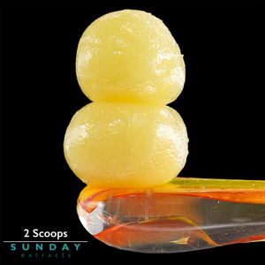 2 Scoops Concentrate