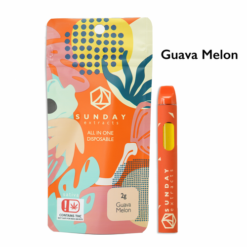 Guava Melon 2g All In One