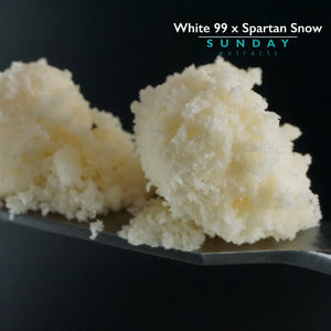 White 99 x Spartan Snow