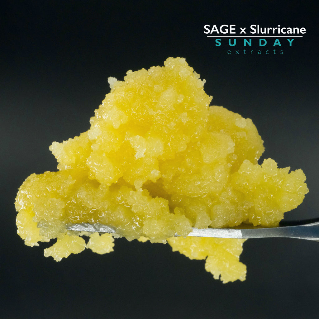 SAGE x Slurricane