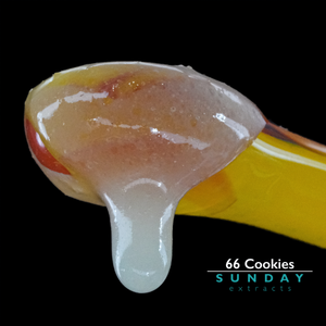66 Cookies Live Resin Concentrate