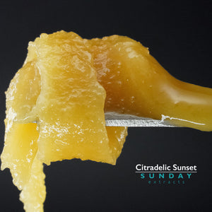 Citradelic Sunset Concentrate