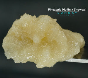 Pineapple Muffin x Snowball