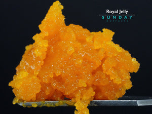 Royal Jelly Concentrate