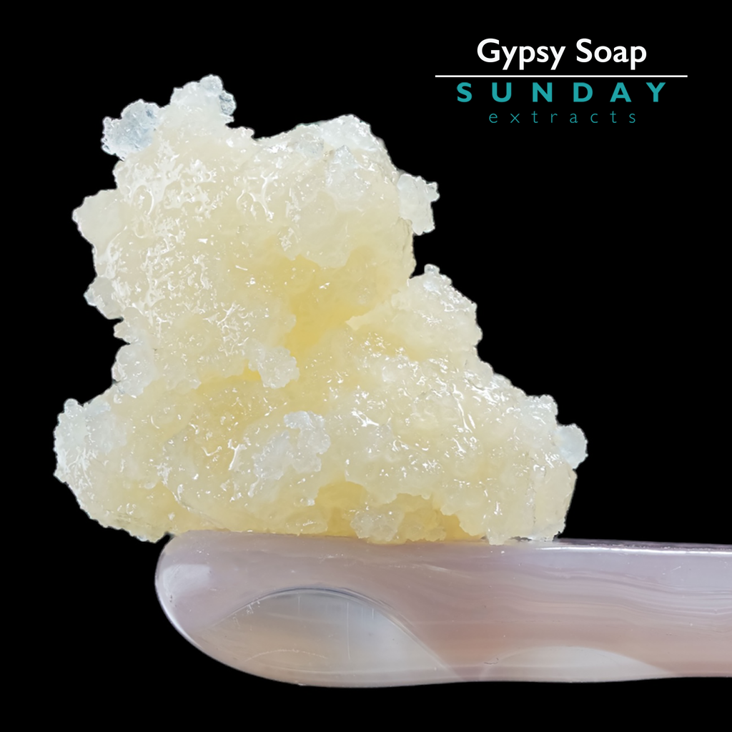 Gypsy Soap Concentrate