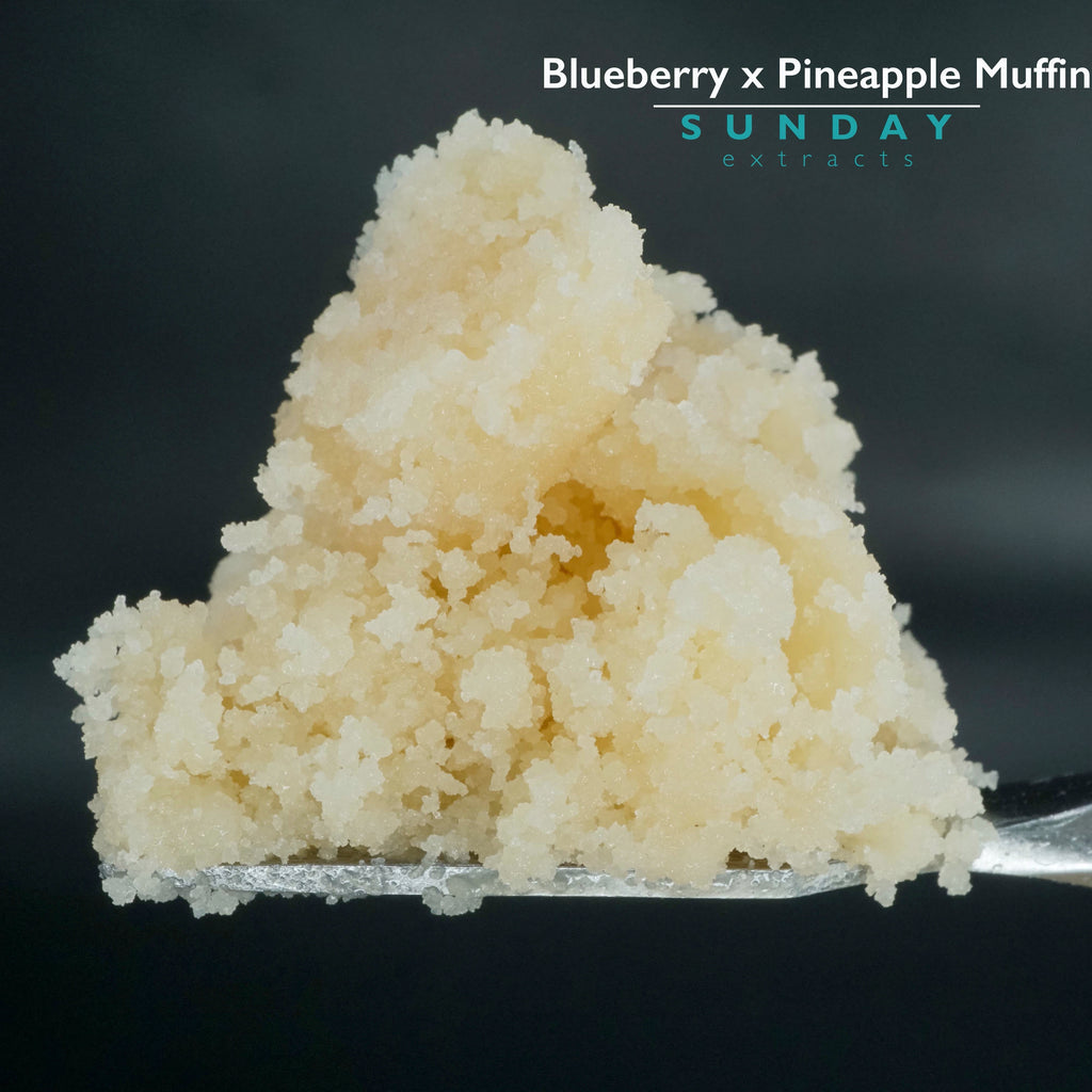 Blueberry x Pineapple Muffin