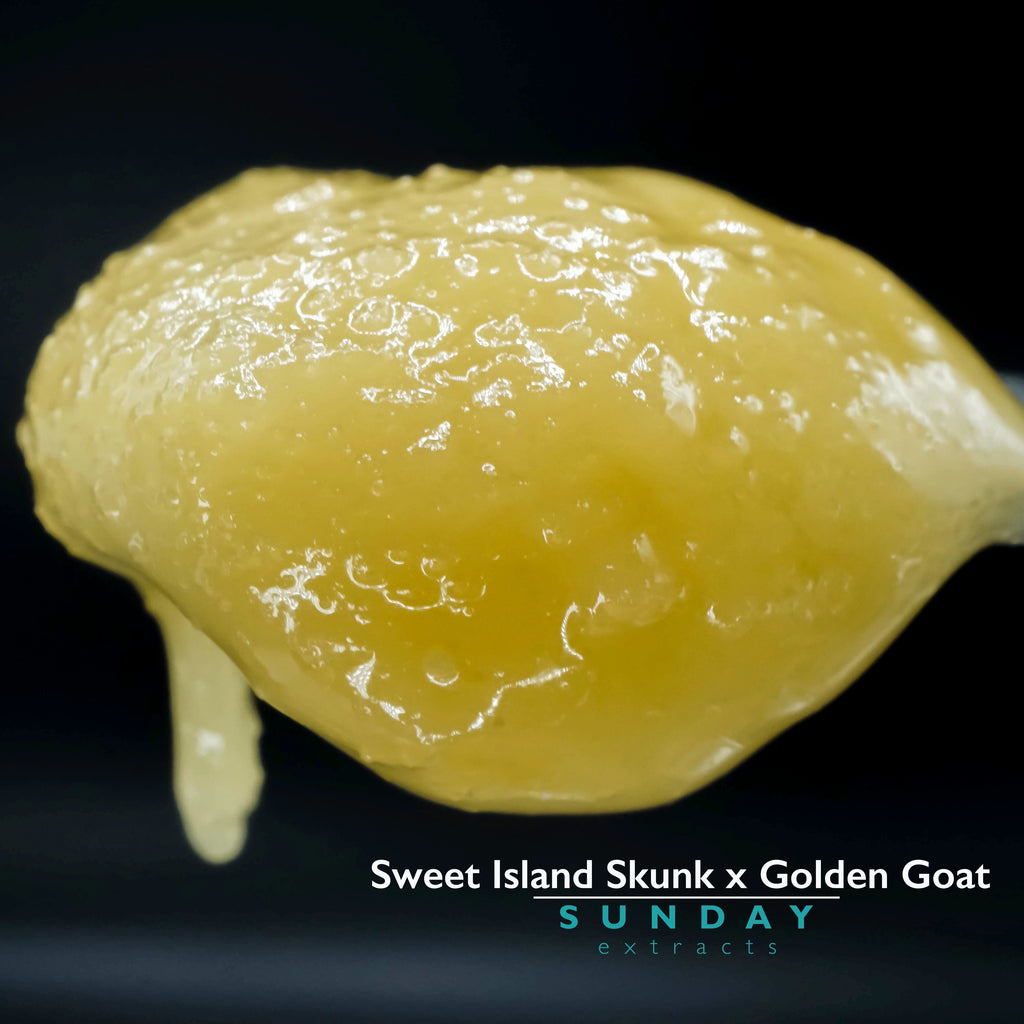Sweet Island Skunk x Golden Goat