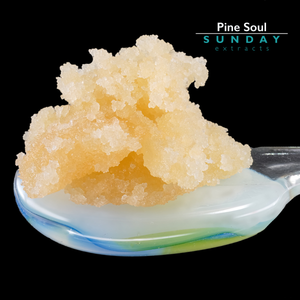 Pine Soul Concentrate
