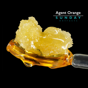 Agent Orange Sunday Jam