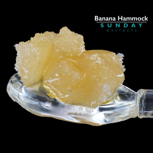 Banana Hammock Sunday Jam