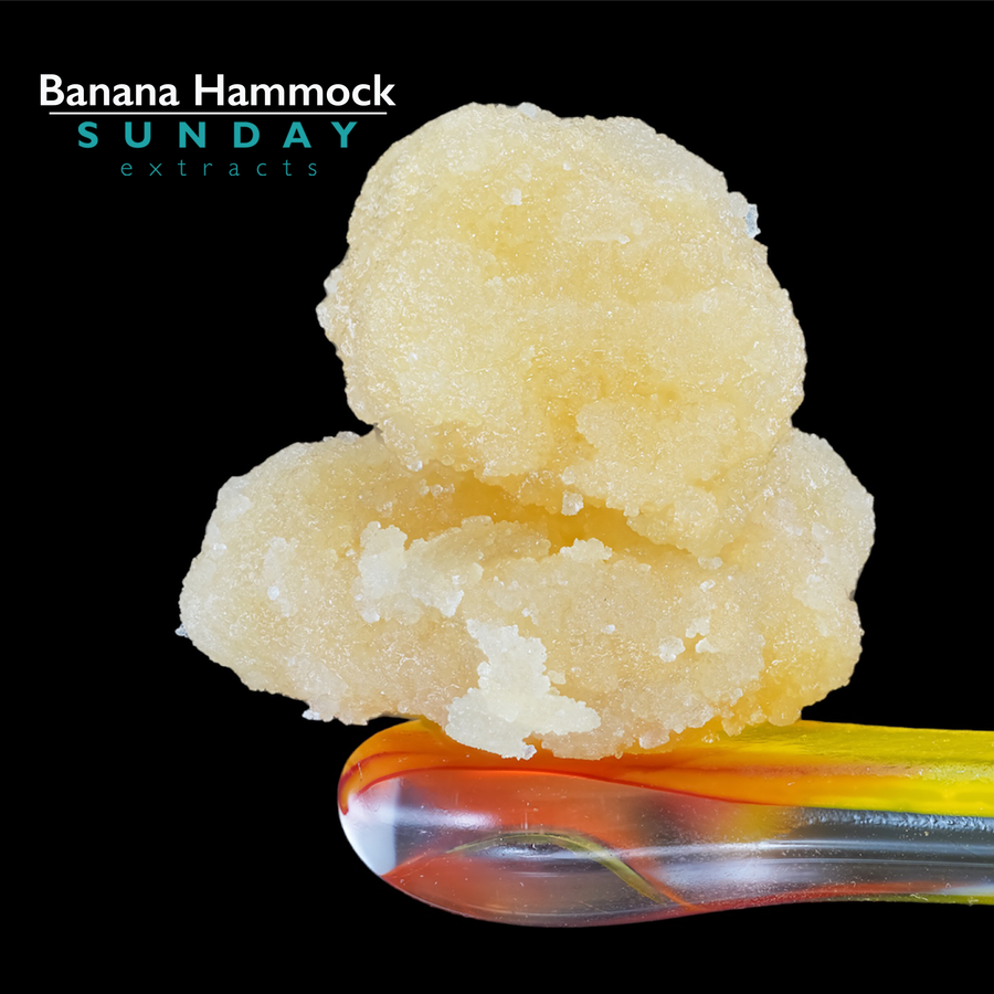 Banana Hammock Concentrate Sunday Extracts