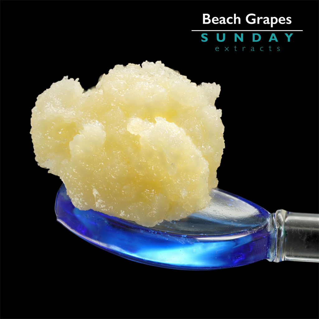Beach Grapes 1g Concentrate