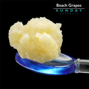 Beach Grapes 1g Concentrate