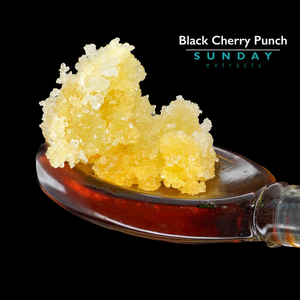 Black Cherry Punch Live Resin Concentrate