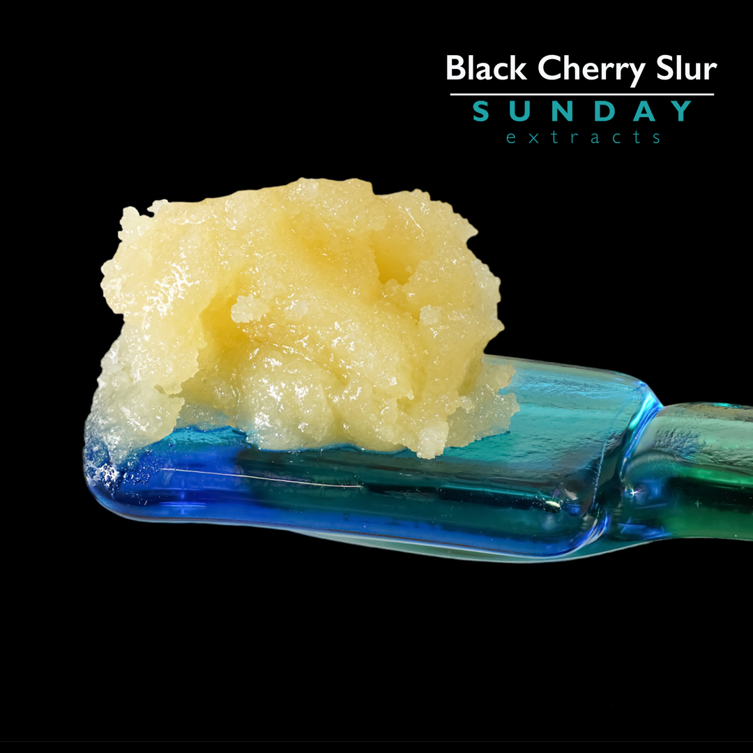 Black Cherry Slur Live Resin Concentrate Sunday Extracts