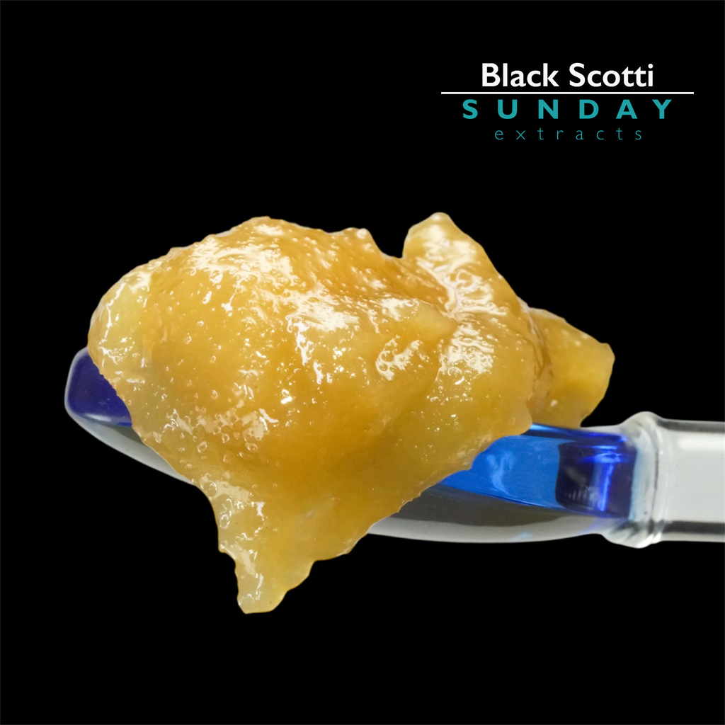 Black Scotti 1g Concentrate