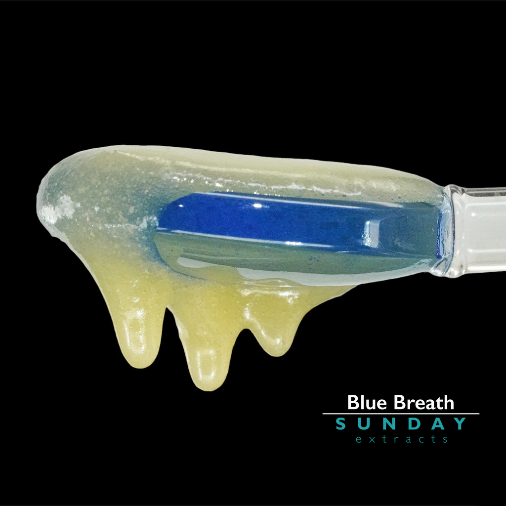 Blue Breath Live Resin Concentrate