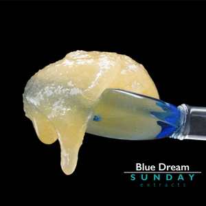 Blue Dream Live Resin Concentrate