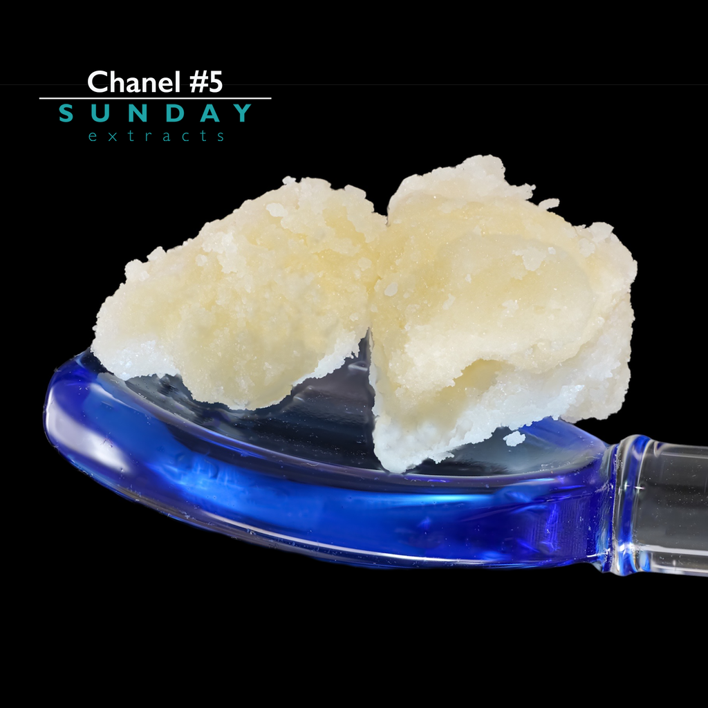 Chanel #5 Concentrate