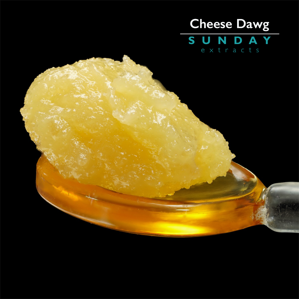 Cheese Dawg 1g Concentrate