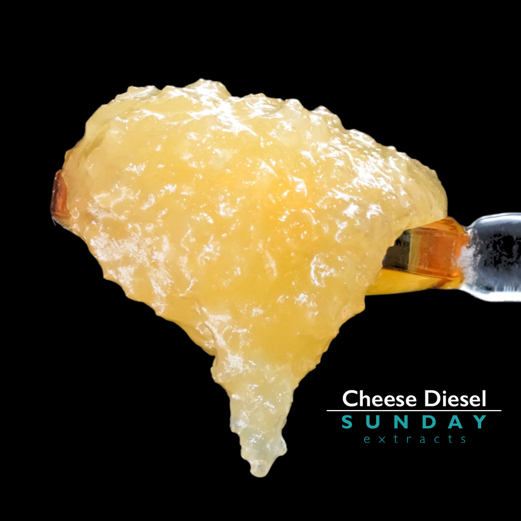 Cheese Diesel Live Resin Concentrate