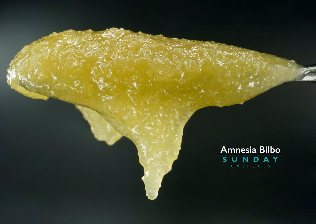Amnesia Bilbo