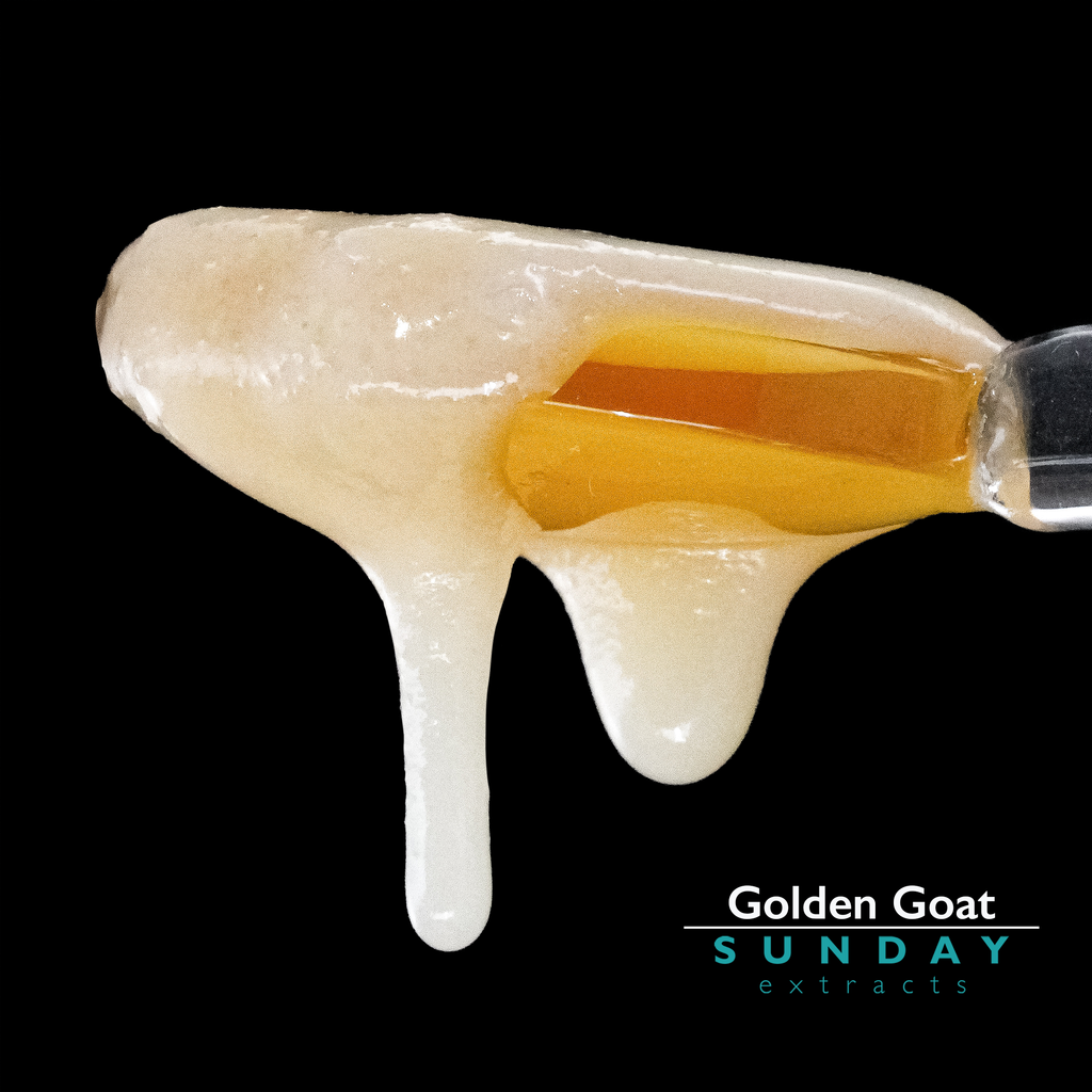 Golden Goat Concentrate