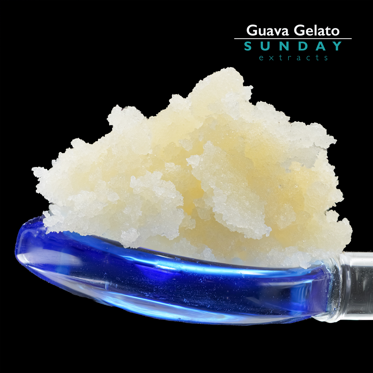 Guava Gelato Concentrate – Sunday Extracts