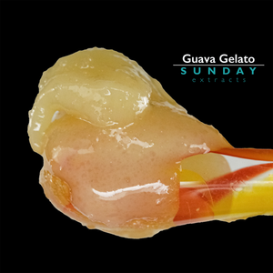 Guava Gelato Live Resin Concentrate