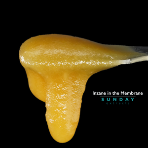 Inzane in the Membrane Concentrate