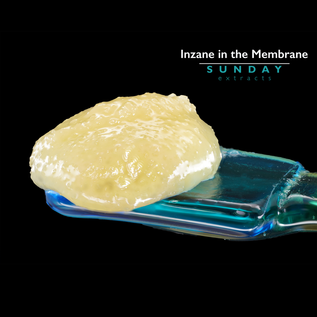 Inzane in the Membrane Concentrate