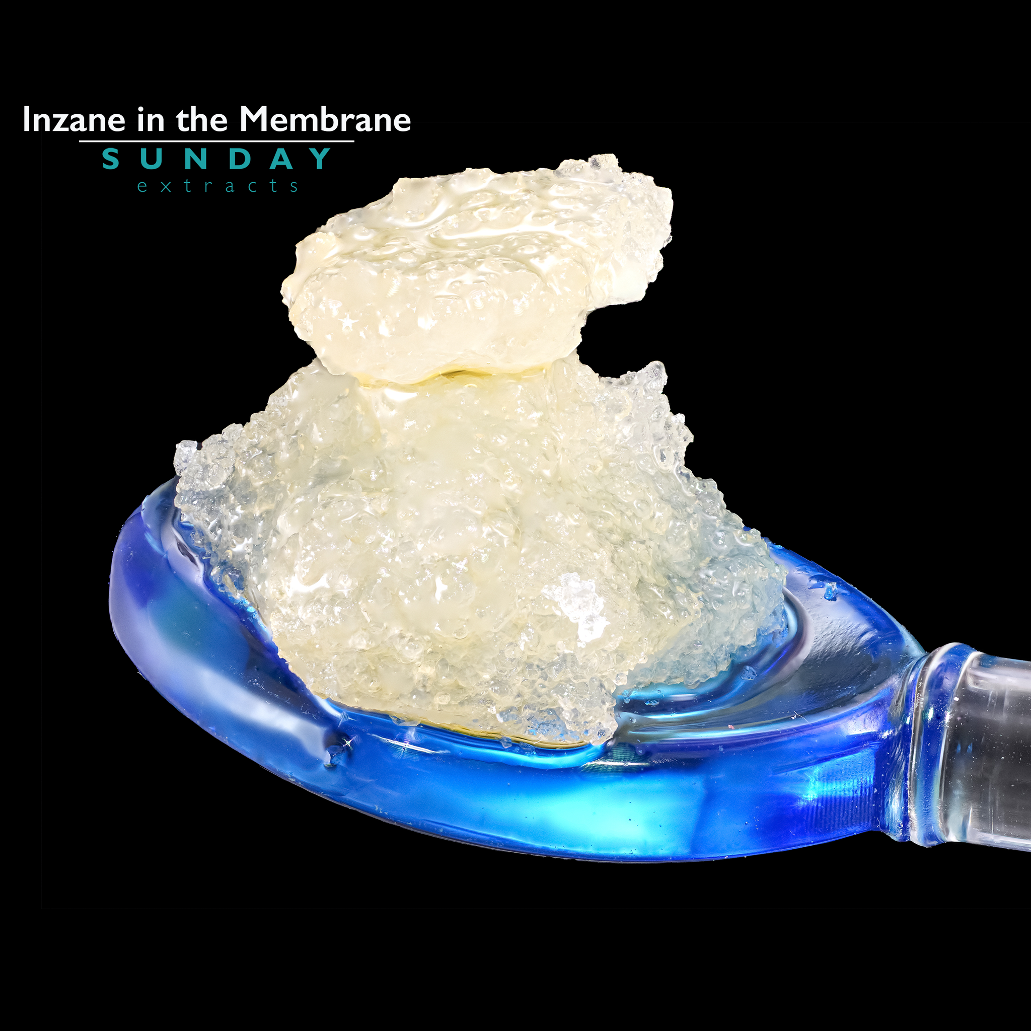 Inzane in the Membrane Live Resin Sunday Jam – Sunday Extracts