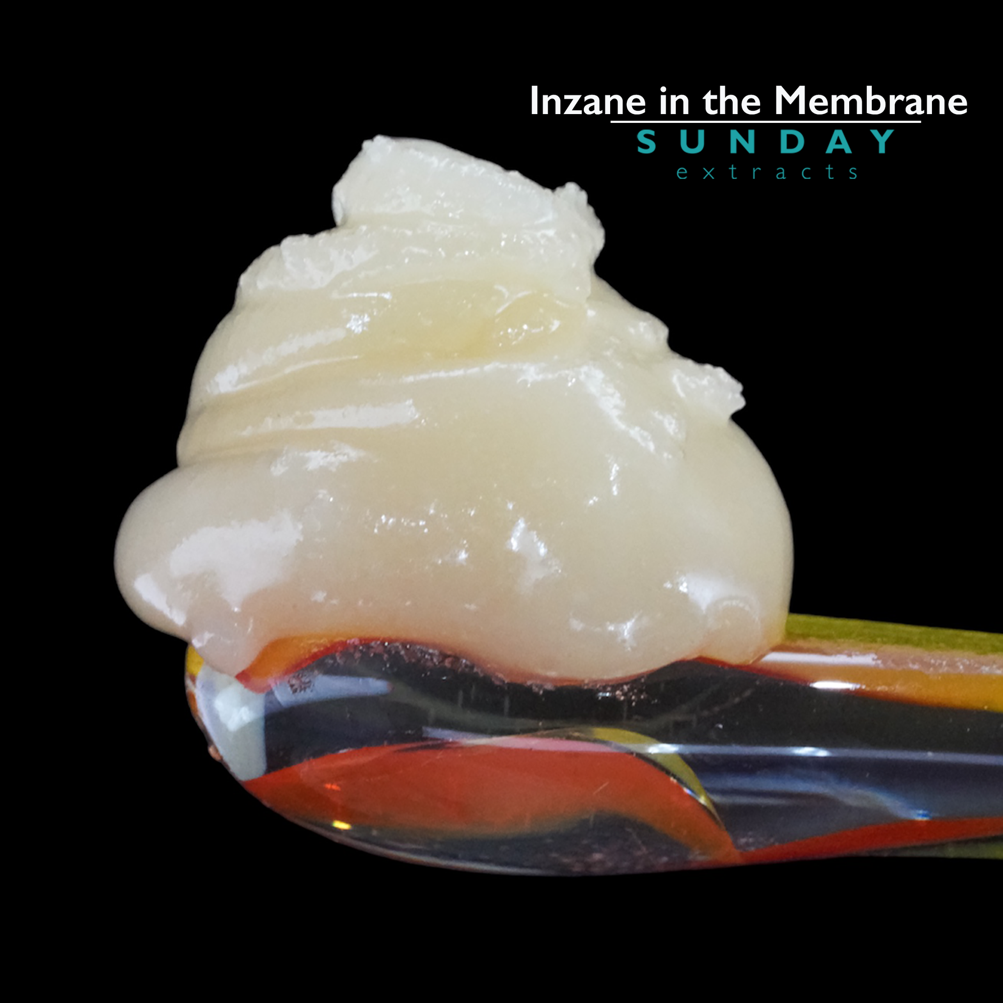 Inzane in the Membrane Live Resin Concentrate – Sunday Extracts