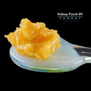 Kidney Punch #4