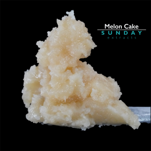 Melon Cake