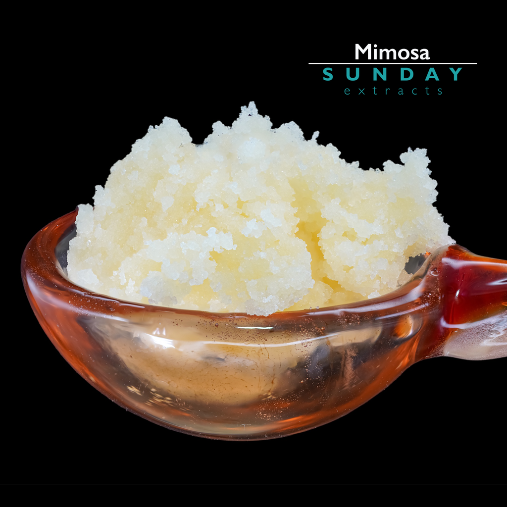 Mimosa Concentrate