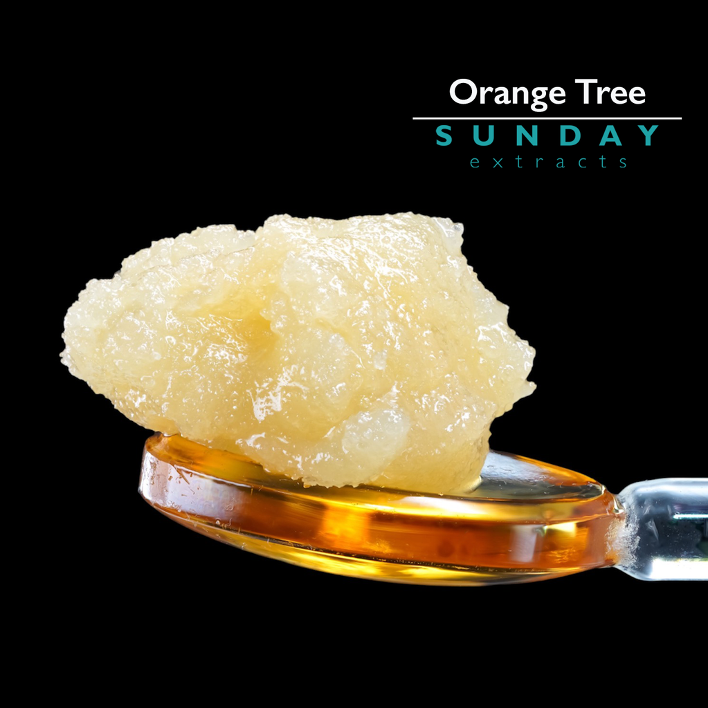 Orange Tree Live Resin Concentrate