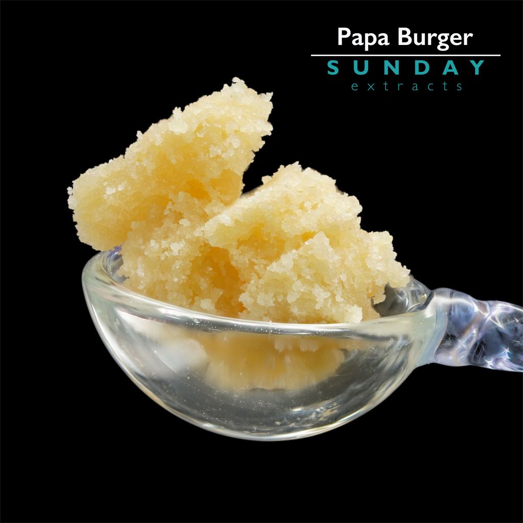Papa Burger 3g Concentrate