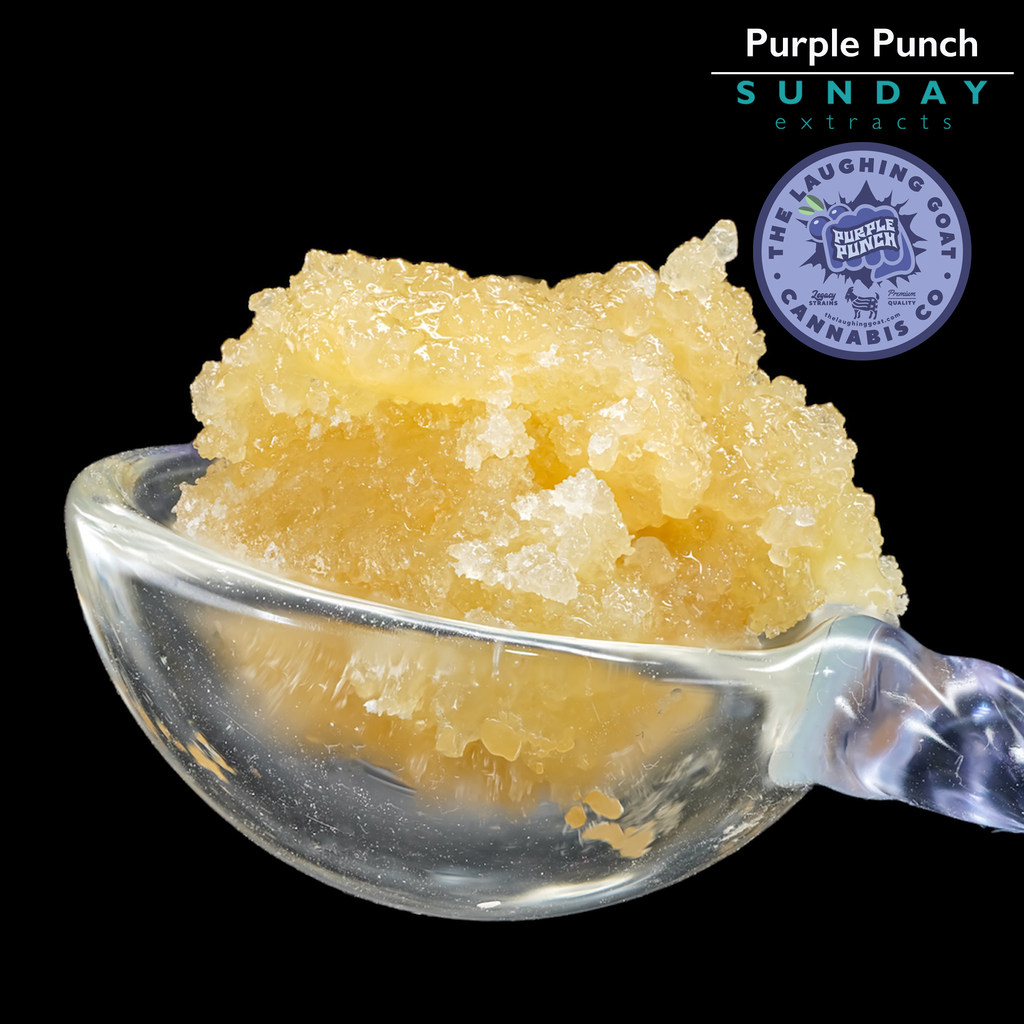 Purple Punch Concentrate