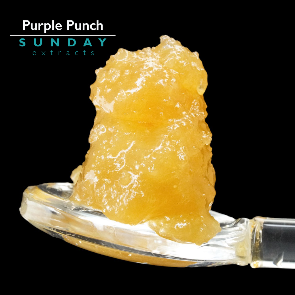 Purple Punch Live Resin Concentrate