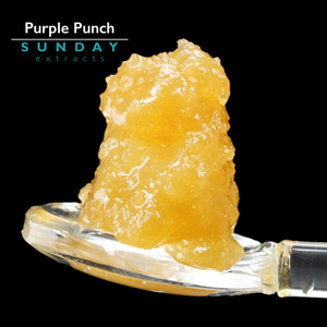 Purple Punch Live Resin Concentrate