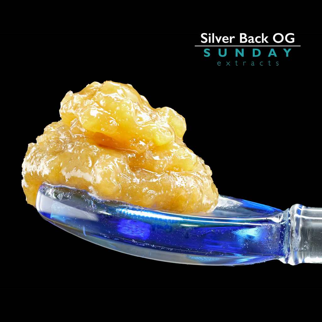 Silver Back OG Concentrate