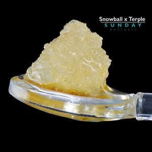 Snowball x Terple Sunday Jam