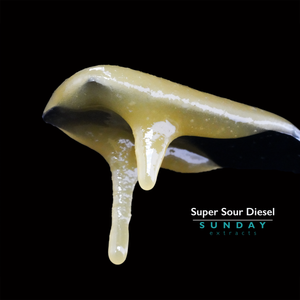 Super Sour Diesel Concentrate