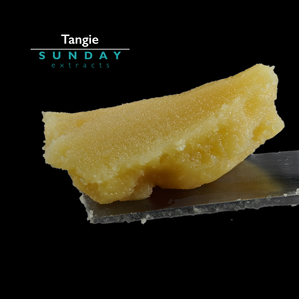 Tangie Concentrate