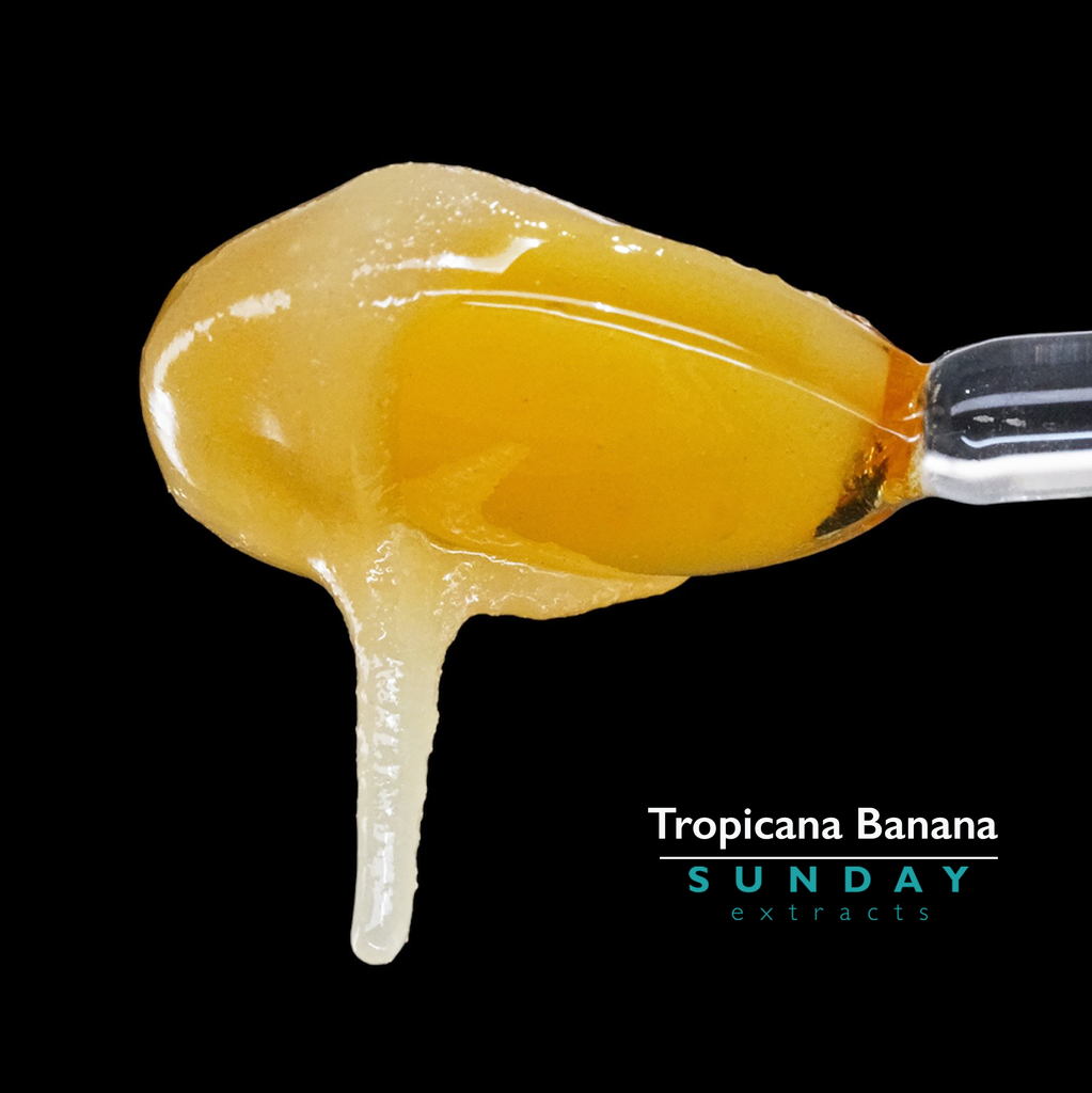 Tropicana Banana Live Resin Concentrate