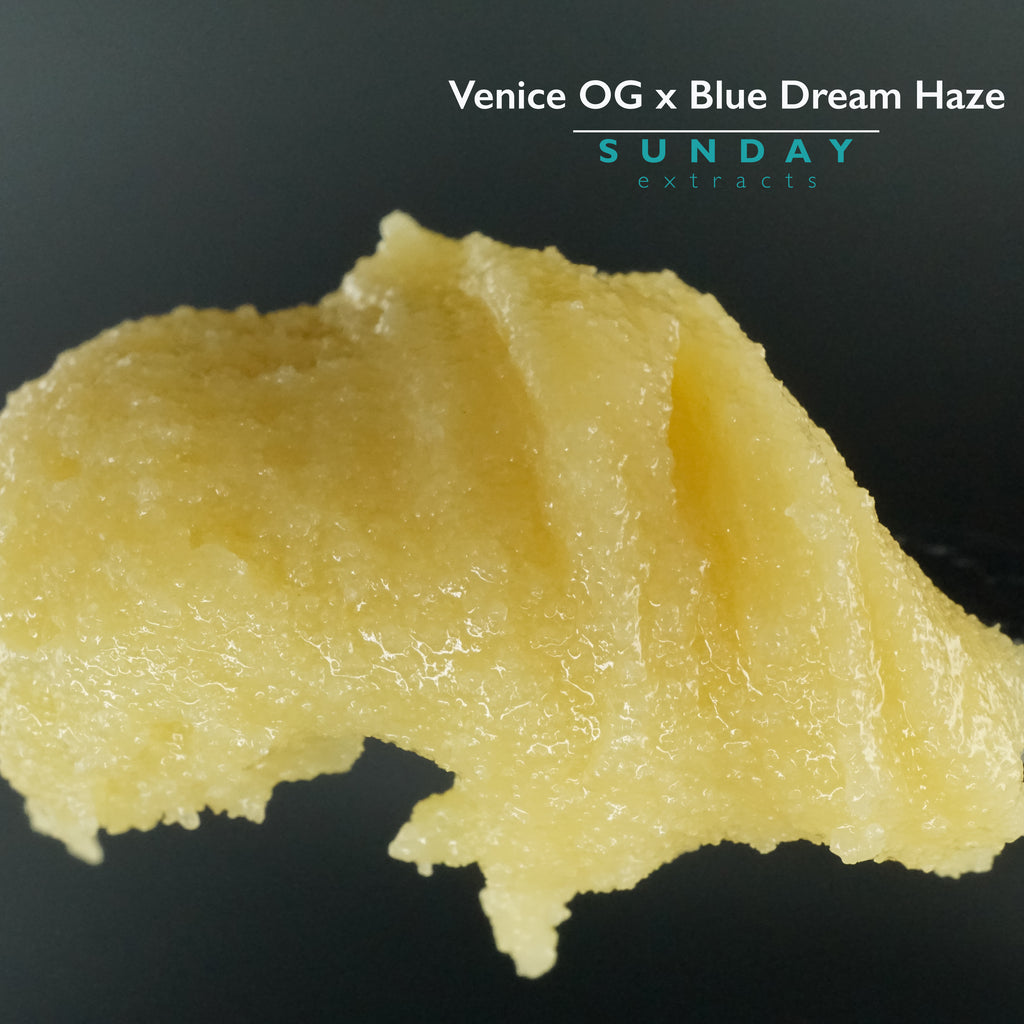 Venice OG x Blue Dream Haze