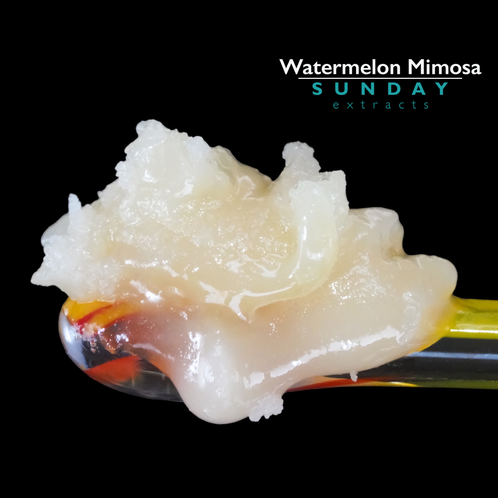 Watermelon Mimosa Live Resin Concentrate