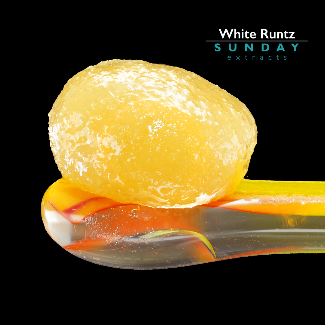 White Runt Blunts White Runtz Concentrate – Sunday Extracts